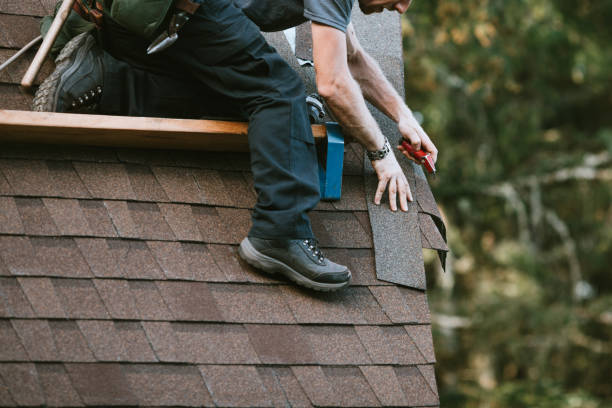 Best Residential Roof Replacement  in Pembroke, GA