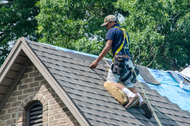 Best New Roof Installation  in Pembroke, GA